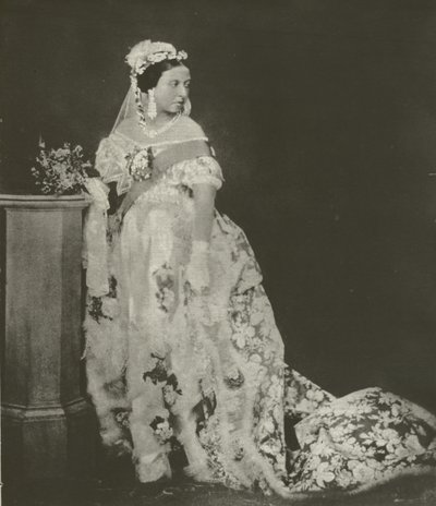 Reine Victoria, photographie ancienne, milieu des années 1850 - English Photographer